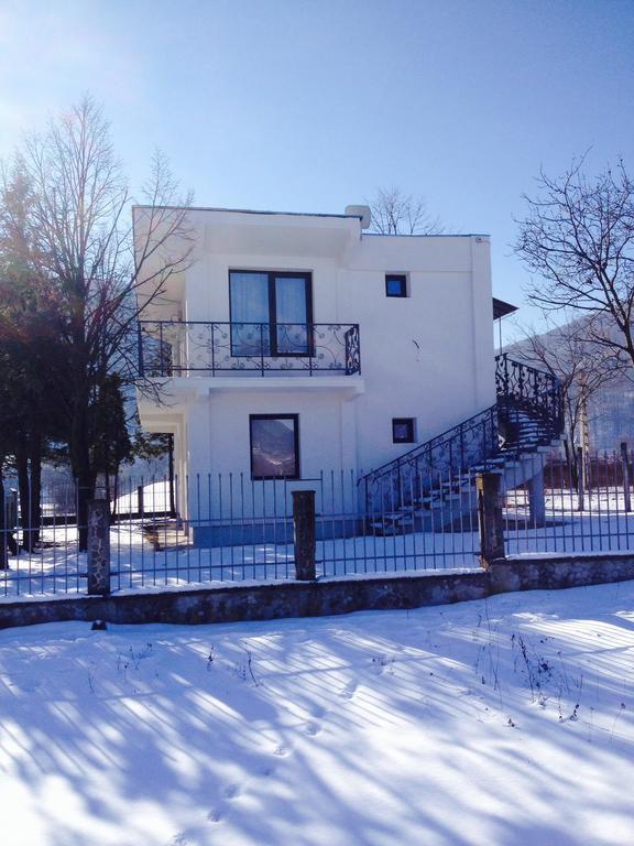 Vila Blanca Alexandru cel Bun Cameră foto